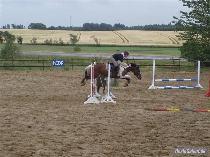 Anden særlig race Angel  Solgt til Emilie:D billede 5