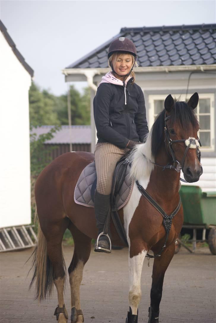 Anden særlig race Angel  Solgt til Emilie:D - ja ja er det ikke meningen at i skal kigge på hesten ?? ;D billede 11
