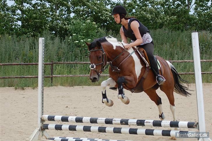 Anden særlig race Angel  Solgt til Emilie:D billede 12