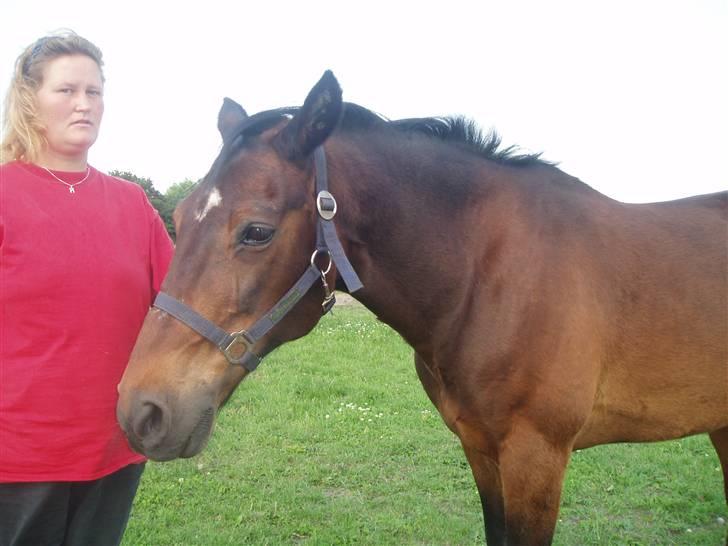 Anden særlig race Amadeo*solgt* - Her er jeg på vej ind for at blive nusset om! billede 2