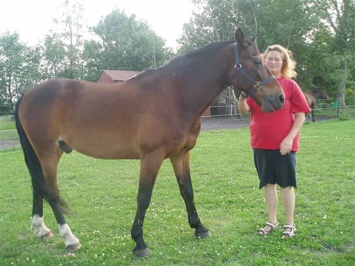 Anden særlig race Amadeo*solgt* - Er jeg ikk bare super smuk?? billede 7