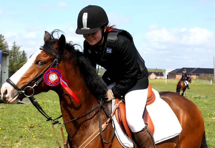 Anden særlig race Coby  - Ponyens første stævne, i Spjald! :) hun var så sød! :D billede 20