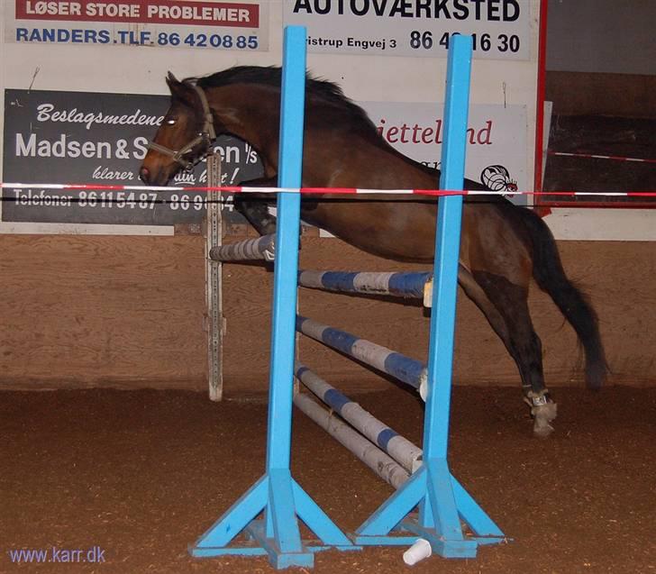 DSP Daisy Hesse<3 Solgt :/ :( - hopp hvor er det bare sjovt... billede 8