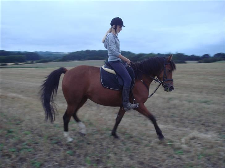 Anden særlig race Jasmin <3 -  sommeren 2007 <3 billede 2