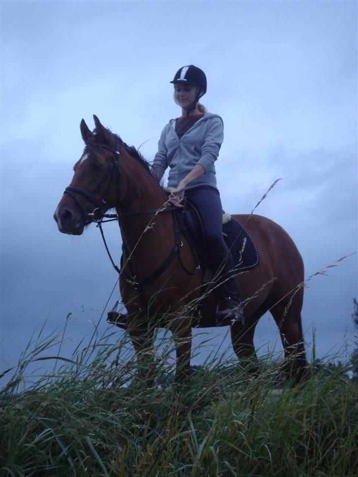 Anden særlig race Jasmin <3 - sommeren 2007 billede 3