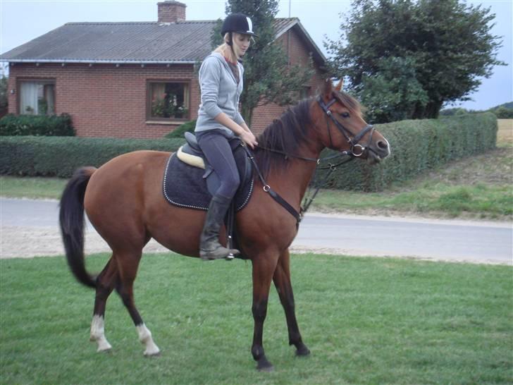 Anden særlig race Jasmin <3 - lidt rund, bliver hun jo, når hun er på sommergræs :)<3 billede 5