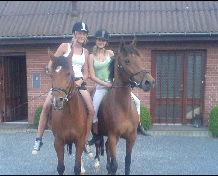 Anden særlig race Jasmin <3 - jasmin og Didia-søskende. overn på mig og Katrine <3 billede 11