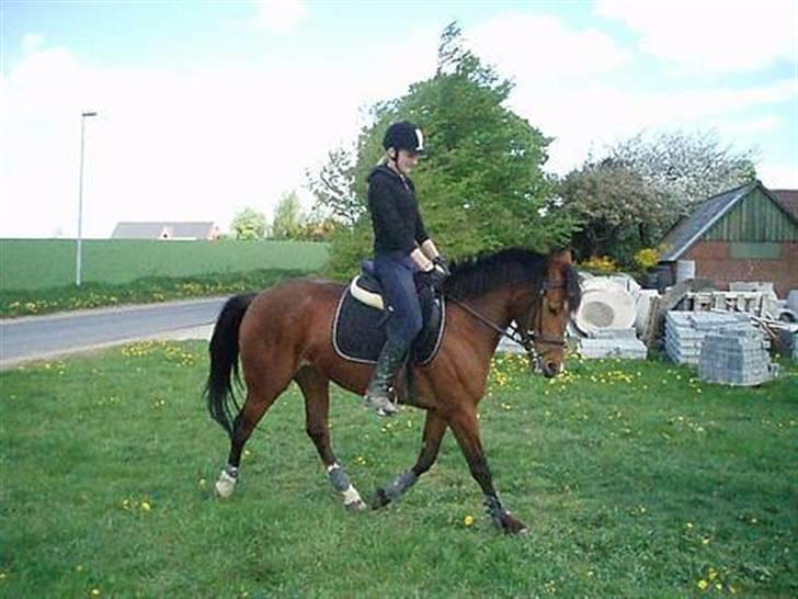 Anden særlig race Jasmin <3 - jasmin og mig  billede 13