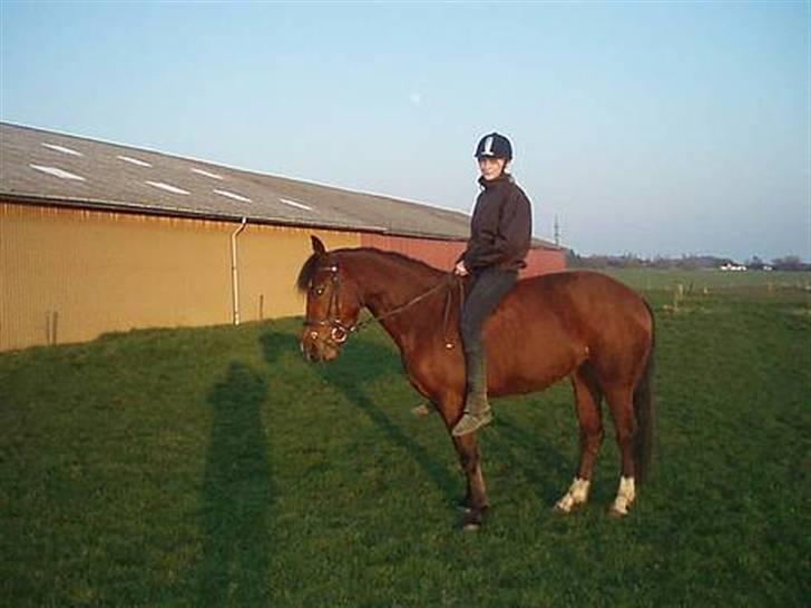 Anden særlig race Jasmin <3 - <3 billede 14