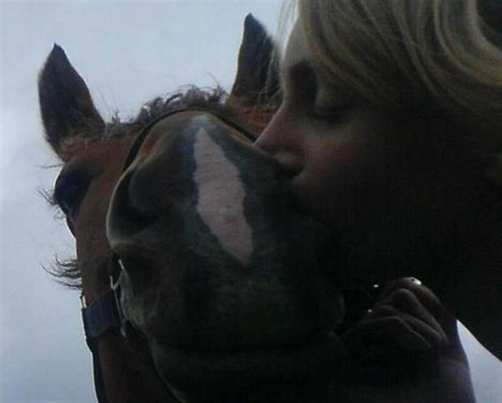 Anden særlig race Jasmin <3 - kys <3 billede 18