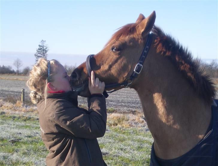 Anden særlig race Shadow af Grandlygard RIP - #15 Jeg elsker dig så meget shadow! Du var hele min hverdag.. Du var det jeg tænkte mest på, og det gør jeg stadig.. billede 15