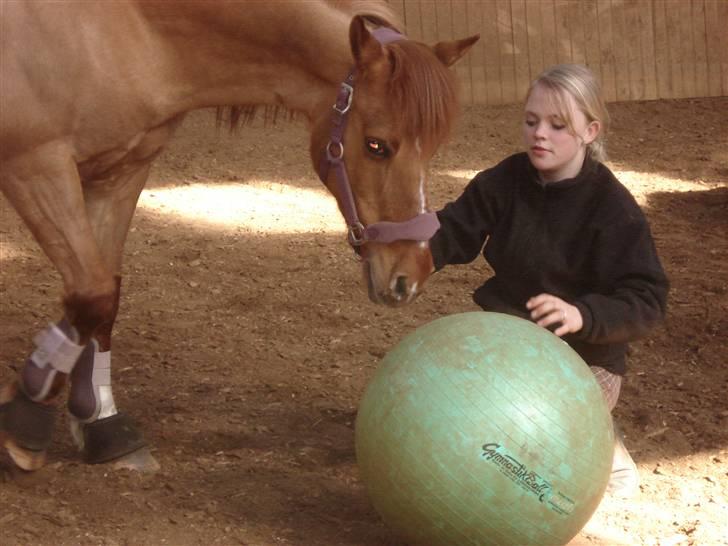 Anden særlig race Shadow af Grandlygard RIP - #16 Du ville gå igennem ild og vand for mig.. Og det samme vil jeg for dig! billede 16