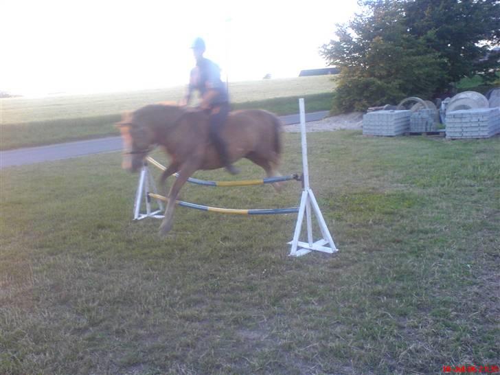 Anden særlig race Tjartie <3 - Spring, 2006 <3 billede 3