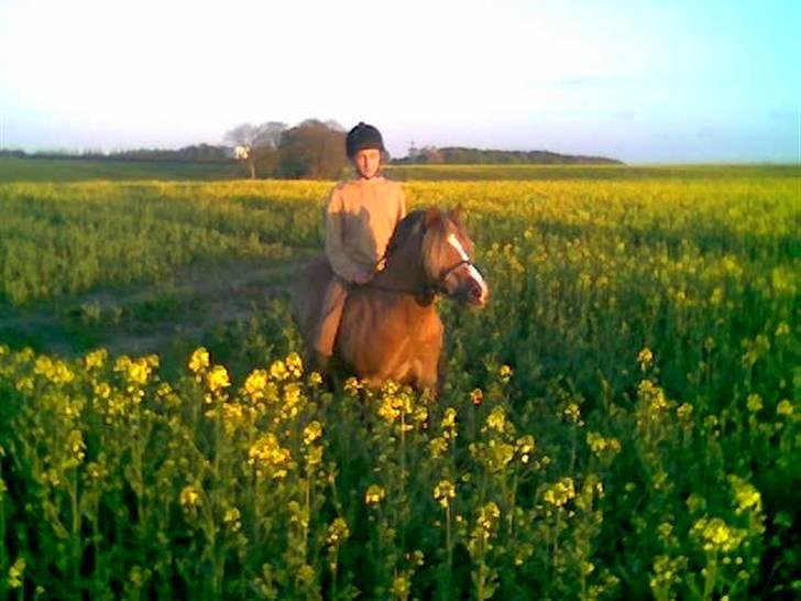 Anden særlig race Tjartie <3 - tjartie & mig i den gule marke <3 billede 6