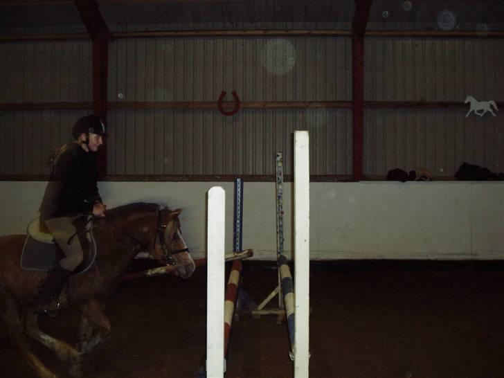 Anden særlig race Tjartie <3 - springundervisning <3  billede 10