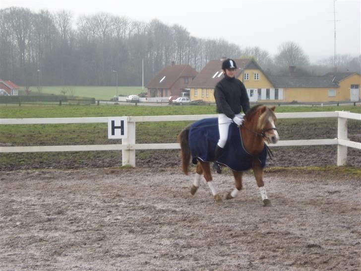 Anden særlig race Tjartie <3 - Opvarmning . vores sidste stævne 10. dec. 2005 <3 billede 11