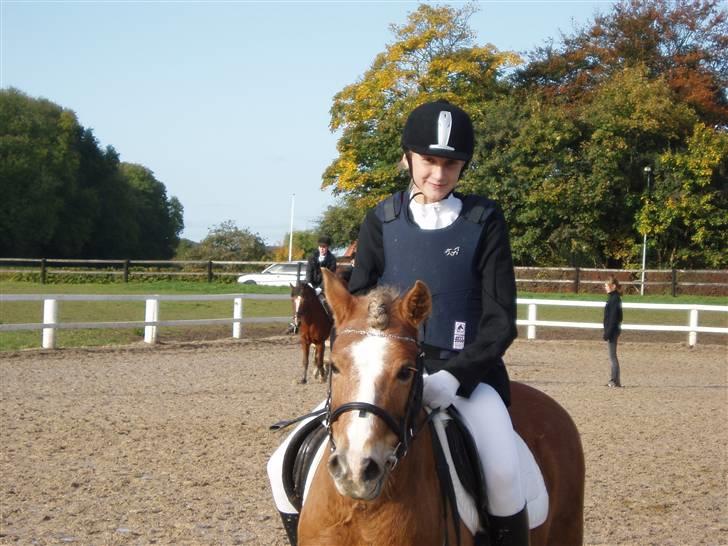 Anden særlig race Tjartie <3 - Spring stævne . .<3  billede 13