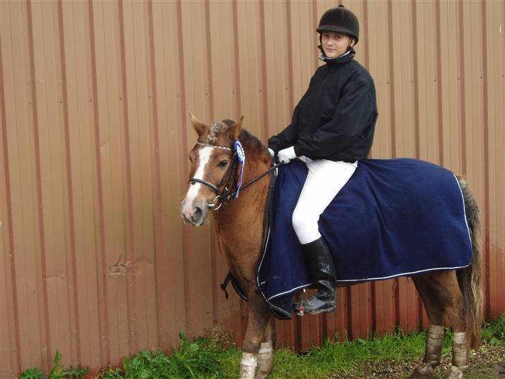 Anden særlig race Tjartie <3 - stævne ..  billede 14