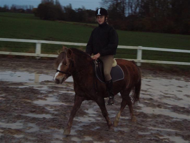 Anden særlig race Tjartie <3 - træning i regn.  billede 16