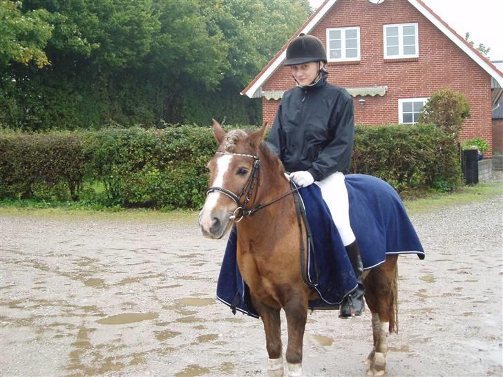 Anden særlig race Tjartie <3 - stævne <3  billede 17