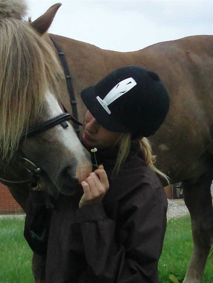 Anden særlig race Tjartie <3 - Tjartie og mig . <3  billede 19