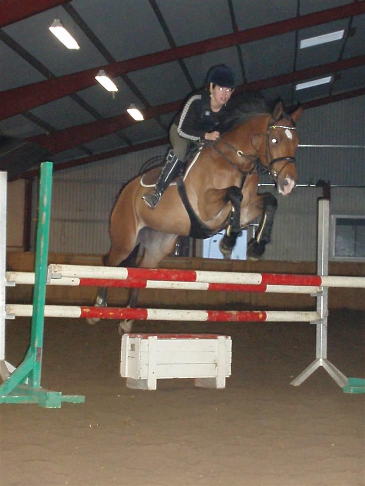 Anden særlig race Rebel R (Aflivet)  - mine øjne ser lidt skumle ud :D hehe men hun springer fint :D billede 15