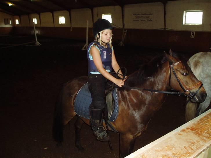 Anden særlig race Buster(solgt) - venter på det bliver vores tur billede 6