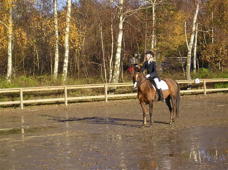 Anden særlig race Agazi (SOLGT) - Man skal jo se sød ud, når der bliver taget billed, ikke??:-D billede 10