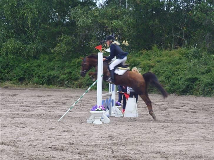 Anden særlig race Agazi (SOLGT) - Et spring mere...:-D billede 11