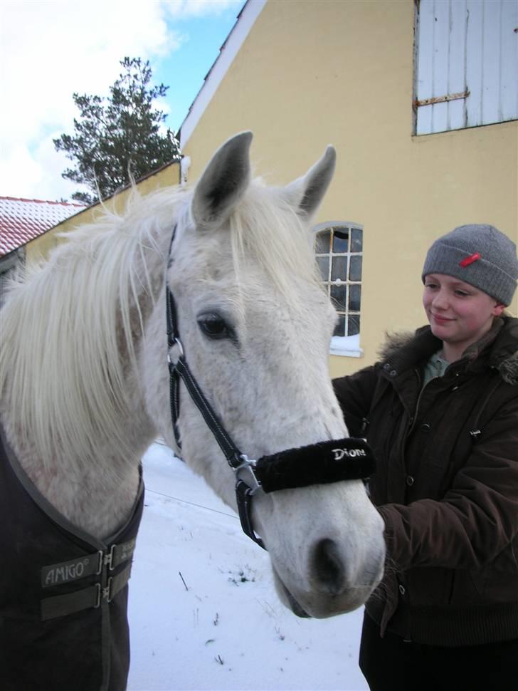 Anden særlig race Dione - Dione og Mig. billede 2