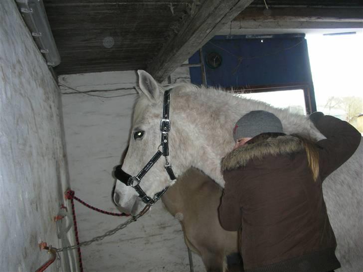 Anden særlig race Dione - Mig og Dione Krammer. billede 3