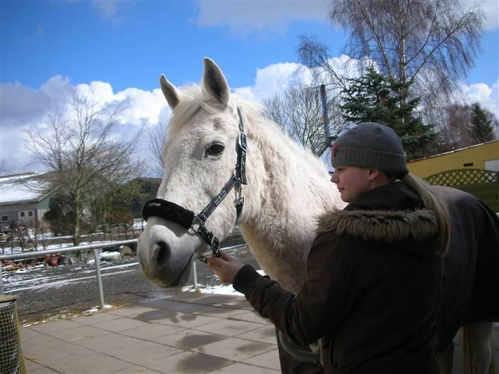 Anden særlig race Dione - Smukke Hende. billede 4