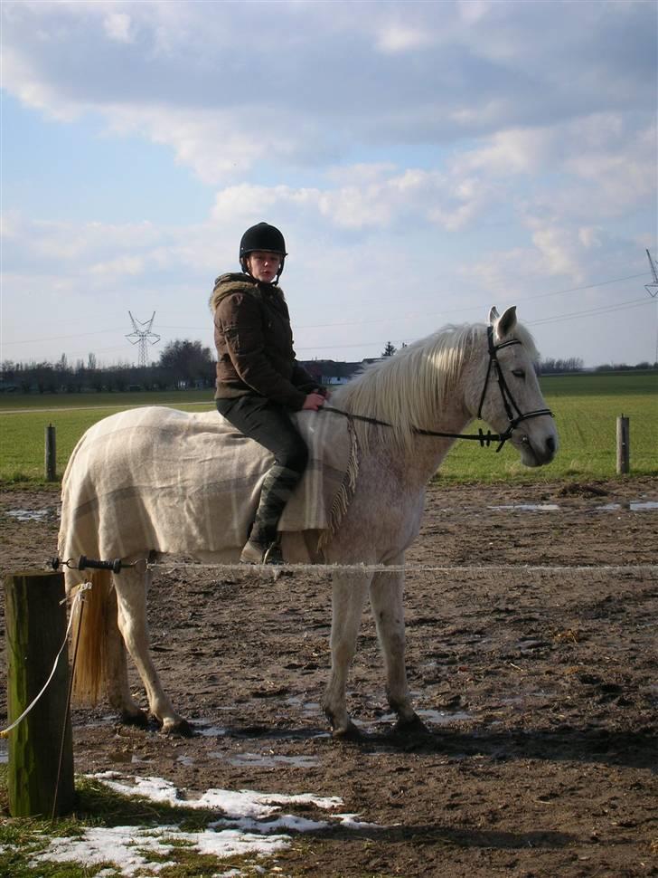 Anden særlig race Dione - Mig og Dione igen. billede 10