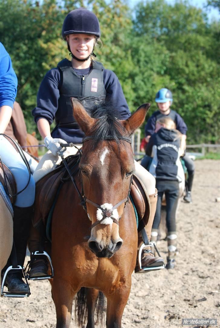Anden særlig race May-day<3 *solgt* - elsker dig<3 billede 4