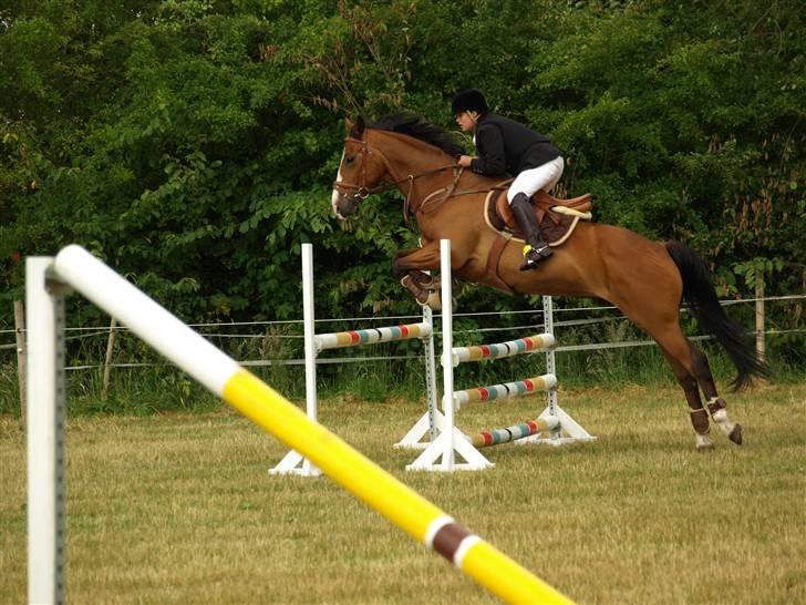 Anden særlig race Tintin<3 - holdspring :) tror jeg :p billede 11