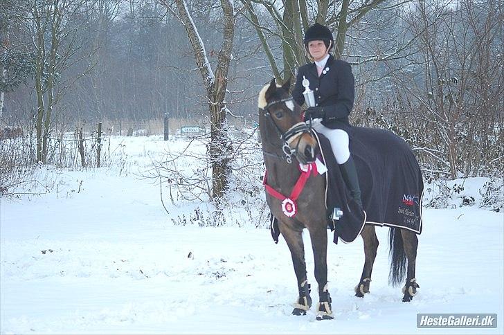 Welsh Cob (sec D) V. B. Idris *SOLGT ! :'(* - Katja og Idris Klubmester 2010 ! :D billede 1