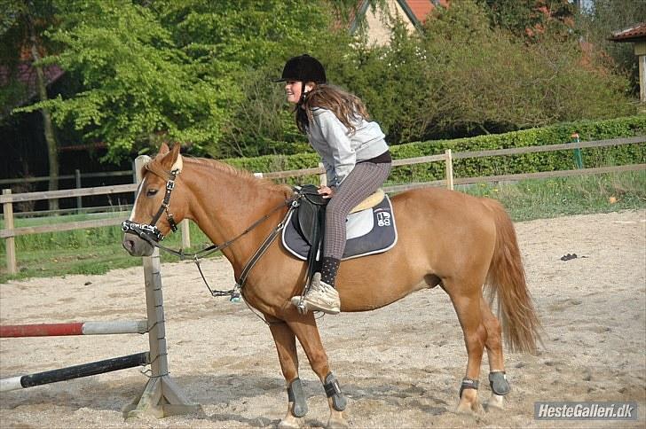 New Forest Magic skønager!<3 - Ehmm?.. xD Billed taget af: Freia Jensen  billede 7