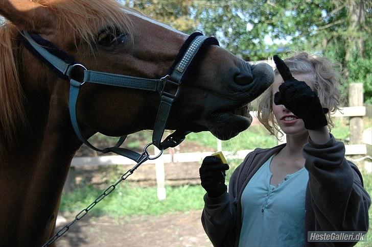 New Forest Magic skønager!<3 - SMIIIIL!!! :D<3 Billed taget af Oliver Andreasen! :D billede 9