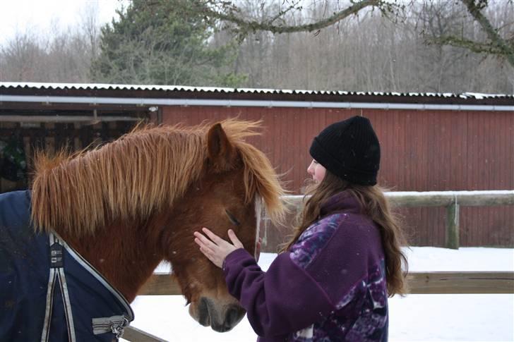 New Forest Magic skønager!<3 - Nusse nusse nusse Suuupeer hyggeligt!! d; <33 Billed taget af maria (: billede 14