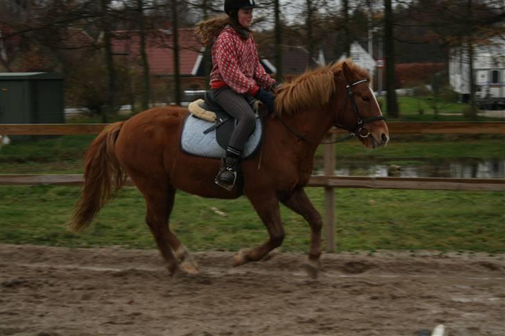 New Forest Magic skønager!<3 - Ride ride ride! Billed tagat af.................... Fanny! xD billede 18