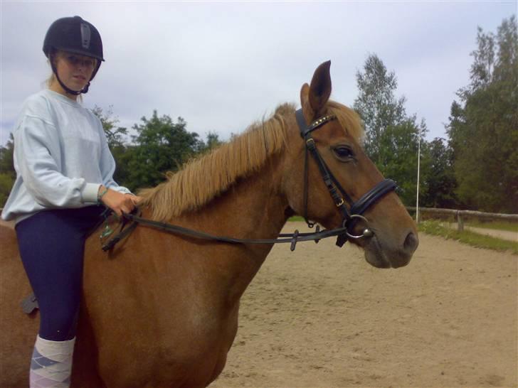 Connemara nelly<33 - hej nelly  billede 1