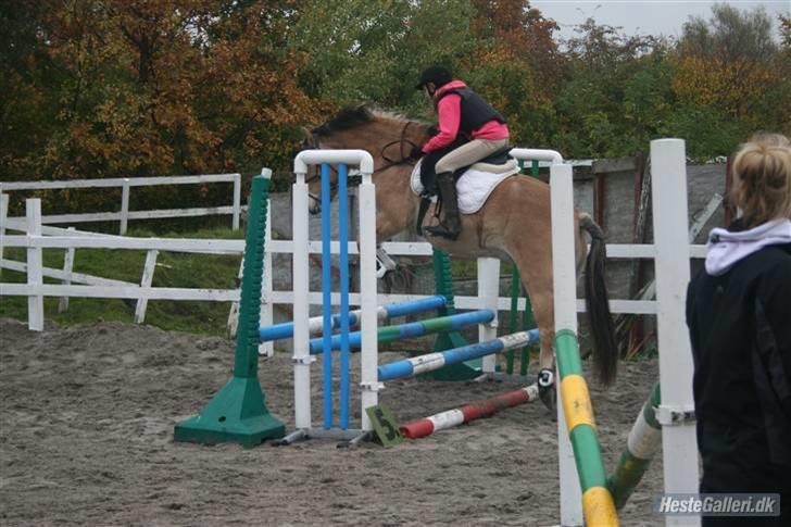 Anden særlig race Tyson <33   - uhhaa:s vidste ikk om han sprang eller ej så det blev lidt akavet, og fald af bagefter:s foto: rikke billede 15