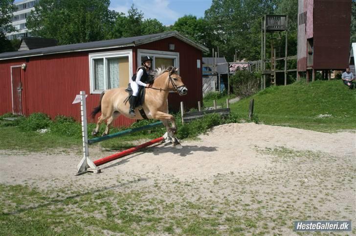 Anden særlig race Tyson <33   - tysse og mig der springer til et stævne på grandtoften:) billede 16