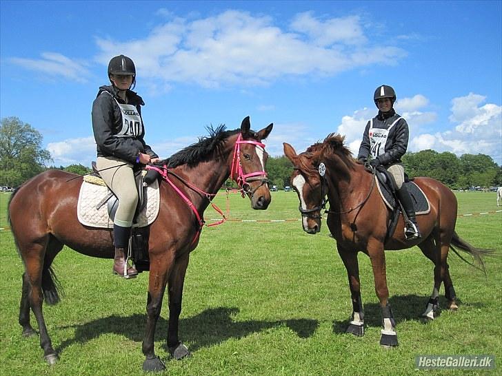 Frederiksborg Ferdinand - nr 9-distnace i kuthenborg 2010 billede 9