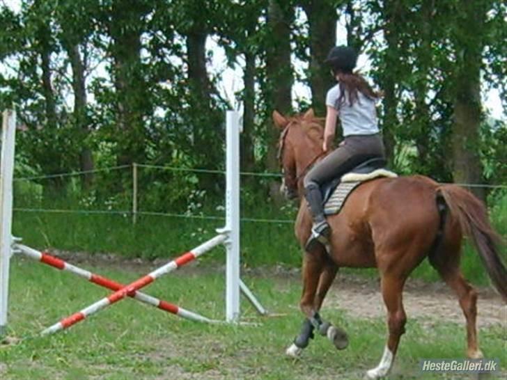 Frederiksborg Ferdinand billede 10