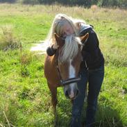 Anden særlig race Sasha  *gammel passer*:'(