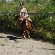 Anden særlig race Sasha  *gammel passer*:'(