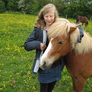 Anden særlig race Sasha  *gammel passer*:'(