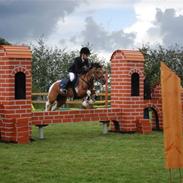 Pinto Holleskovgårds Teckla 