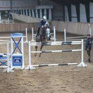 Holstener Corletto I R.I.P.<3